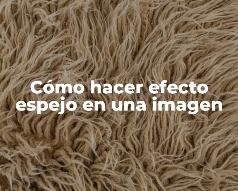 Cómo hacer efecto espejo en una imagen