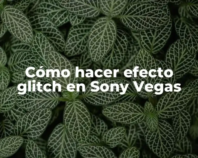 Cómo hacer efecto glitch en Sony Vegas