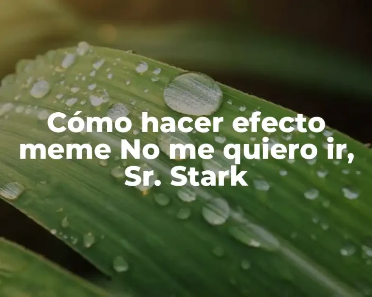 Cómo hacer efecto meme No me quiero ir, Sr. Stark