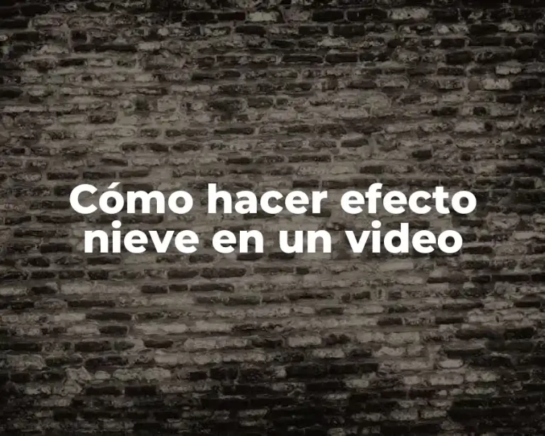 Cómo hacer efecto nieve en un video