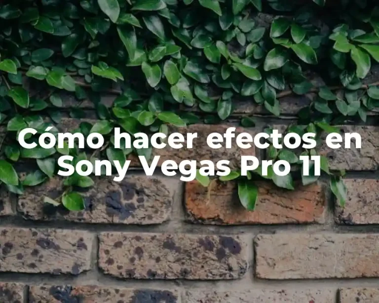 Cómo hacer efectos en Sony Vegas Pro 11