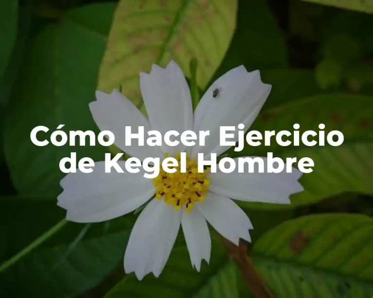 Cómo Hacer Ejercicio de Kegel Hombre