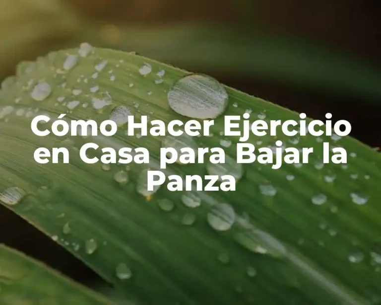 Cómo Hacer Ejercicio en Casa para Bajar la Panza