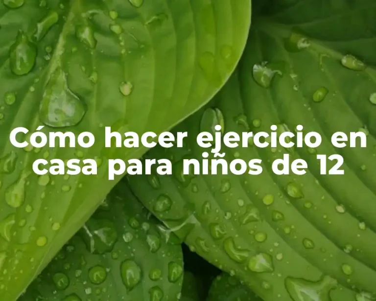 Cómo hacer ejercicio en casa para niños de 12