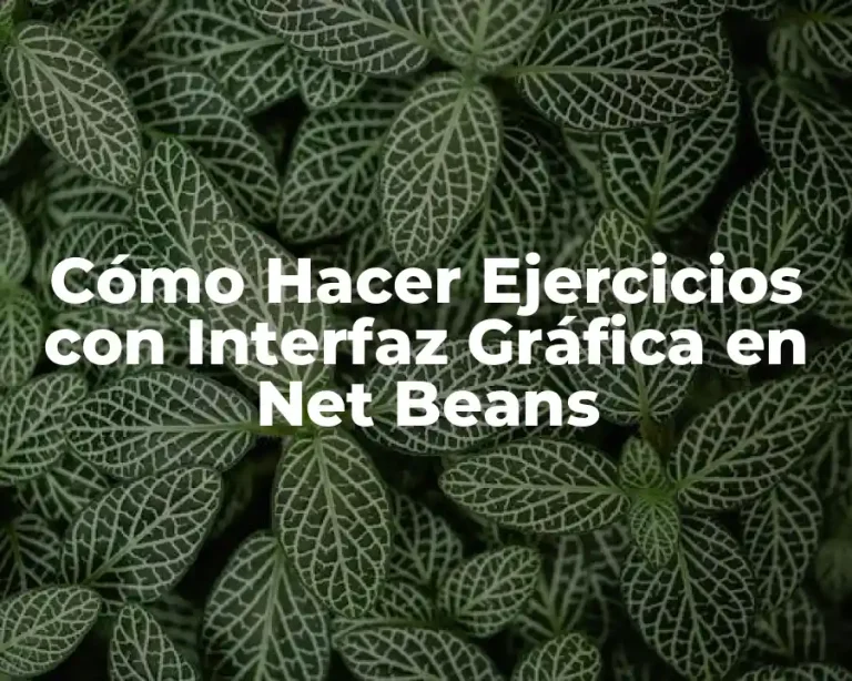 Cómo Hacer Ejercicios con Interfaz Gráfica en Net Beans