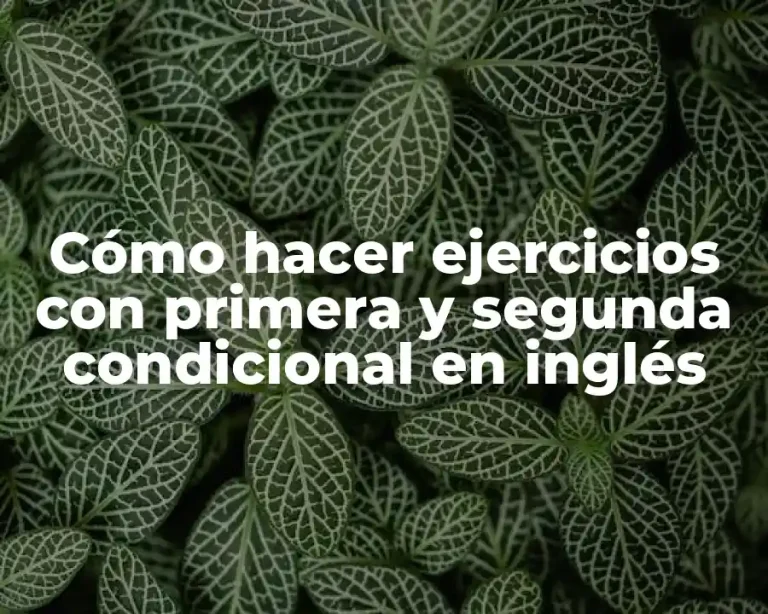 Cómo hacer ejercicios con primera y segunda condicional en inglés