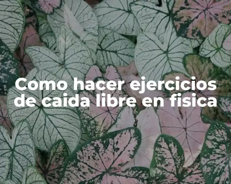 Como hacer ejercicios de caida libre en fisica