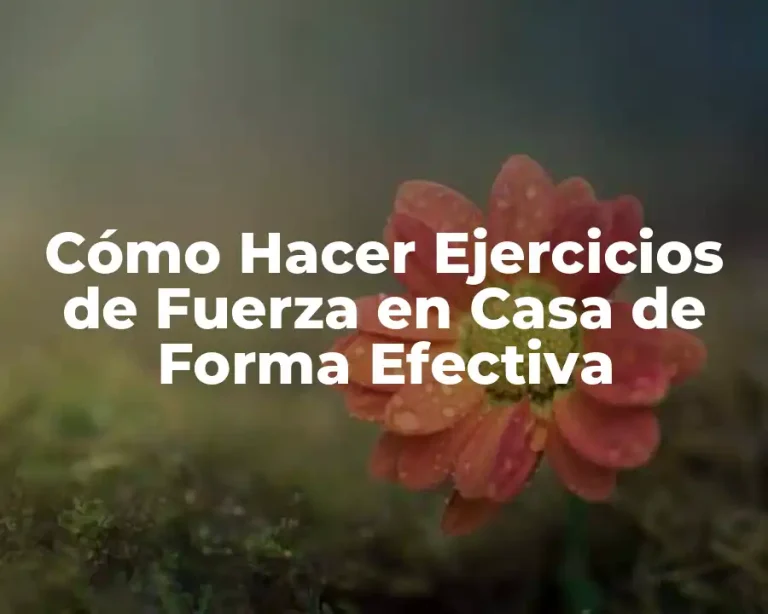 Cómo Hacer Ejercicios de Fuerza en Casa de Forma Efectiva