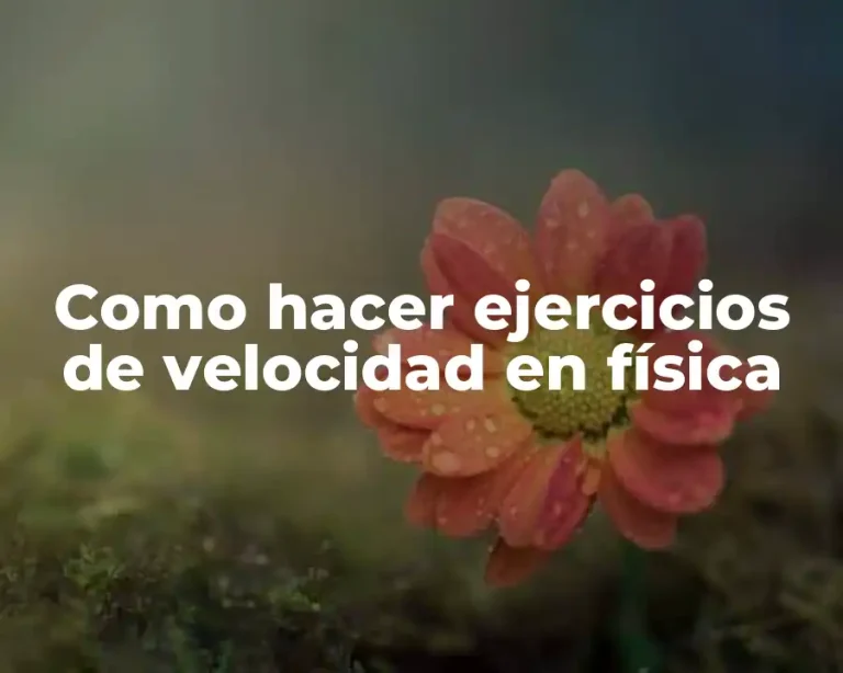 Como hacer ejercicios de velocidad en física