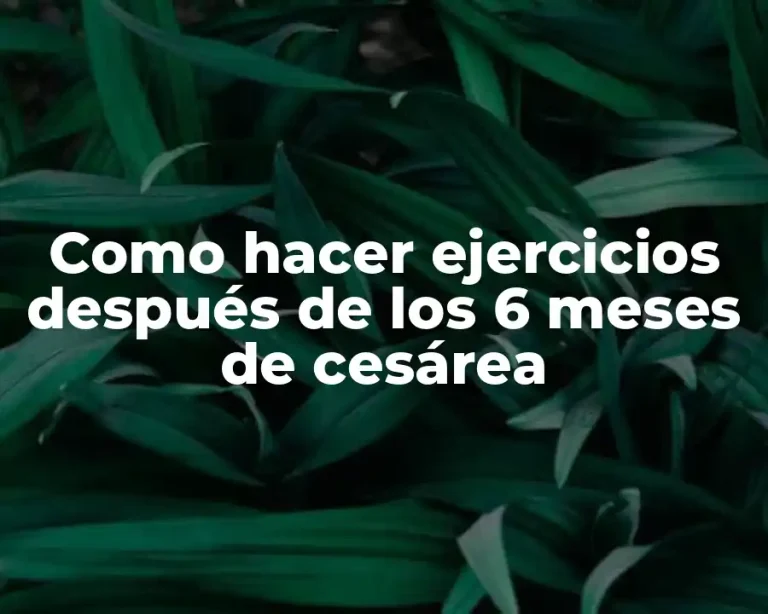 Como hacer ejercicios después de los 6 meses de cesárea