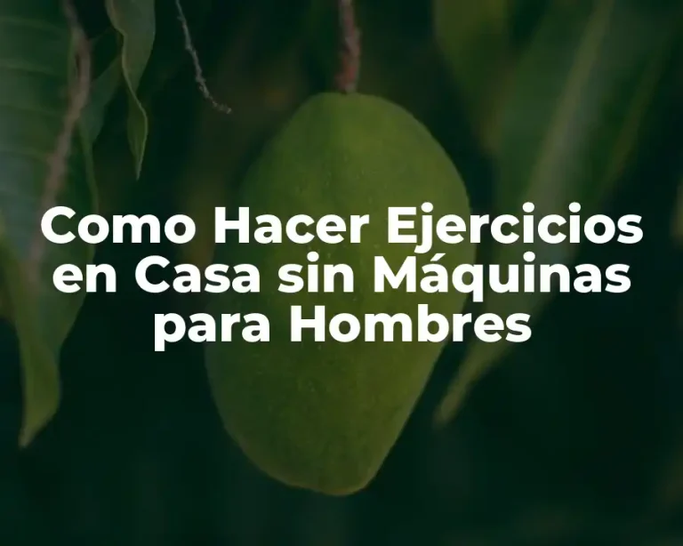 Como Hacer Ejercicios en Casa sin Máquinas para Hombres