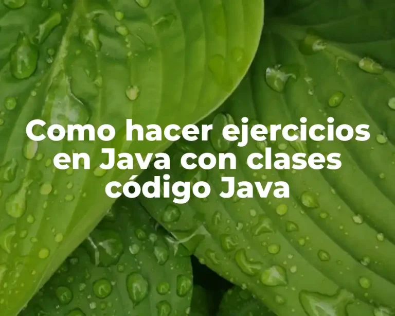 Como hacer ejercicios en Java con clases código Java