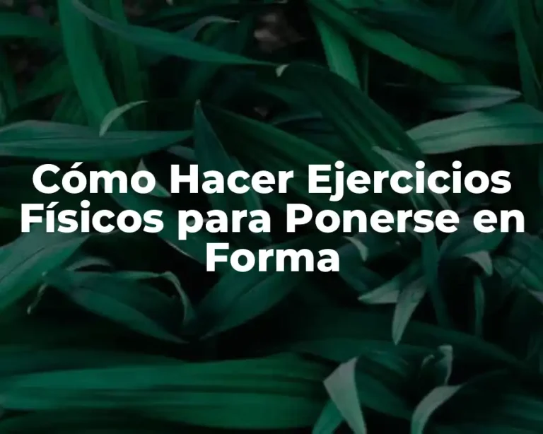 Cómo Hacer Ejercicios Físicos para Ponerse en Forma