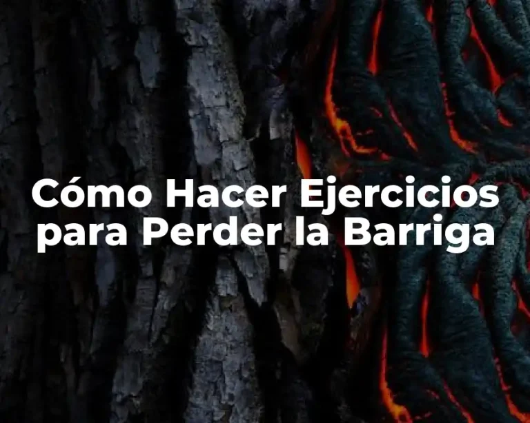 Cómo Hacer Ejercicios para Perder la Barriga