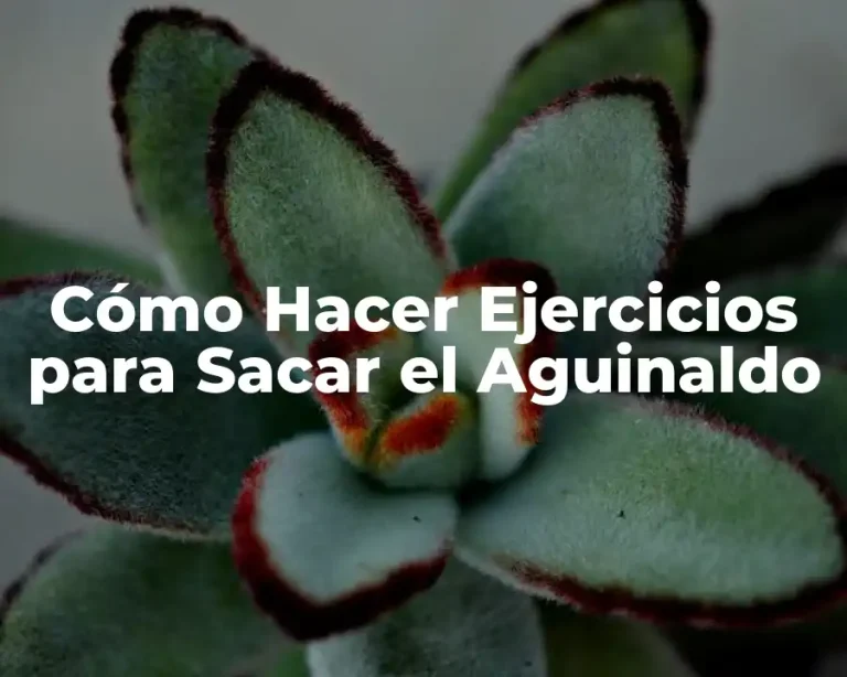 Cómo Hacer Ejercicios para Sacar el Aguinaldo