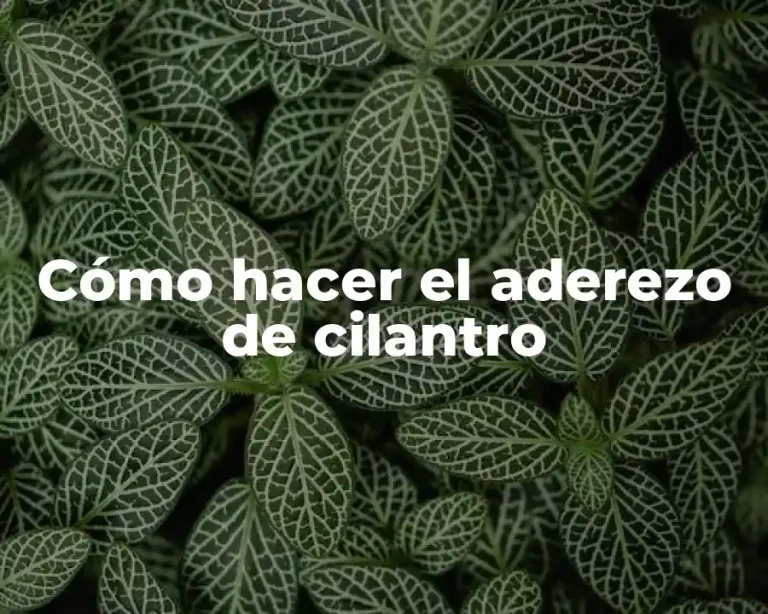 Cómo hacer el aderezo de cilantro