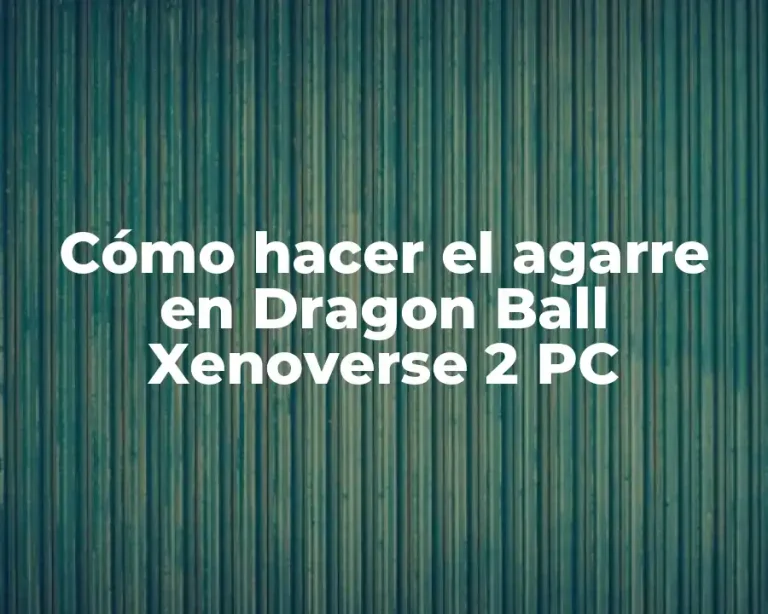 Cómo hacer el agarre en Dragon Ball Xenoverse 2 PC