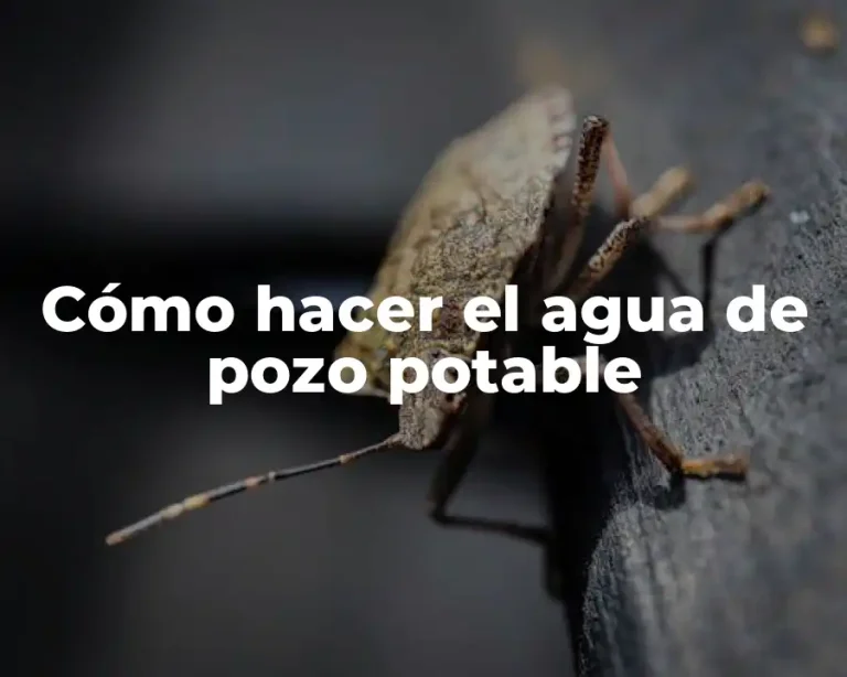 Cómo hacer el agua de pozo potable