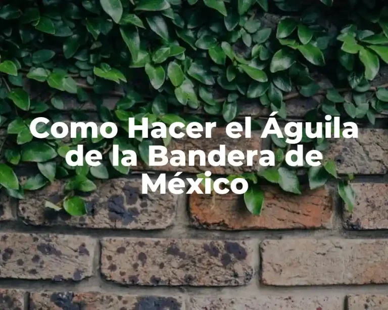 Como Hacer el Águila de la Bandera de México