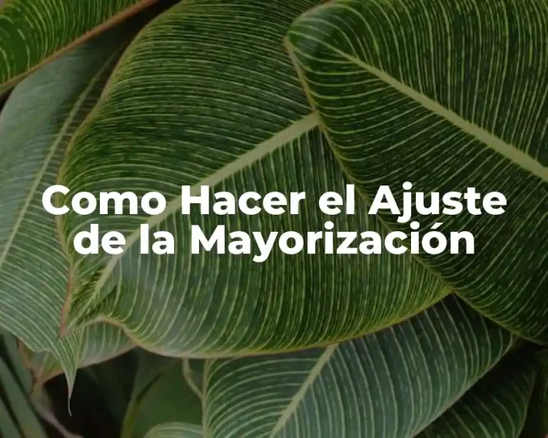 Como Hacer el Ajuste de la Mayorización