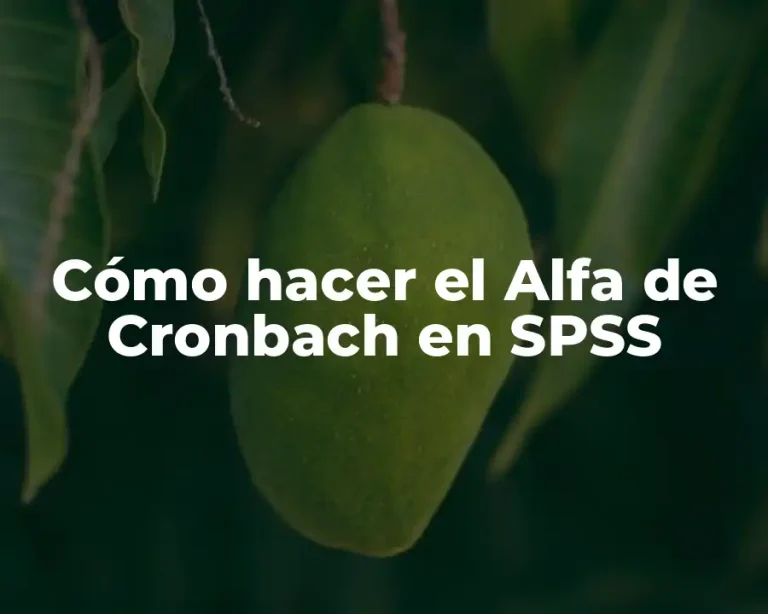 Cómo hacer el Alfa de Cronbach en SPSS