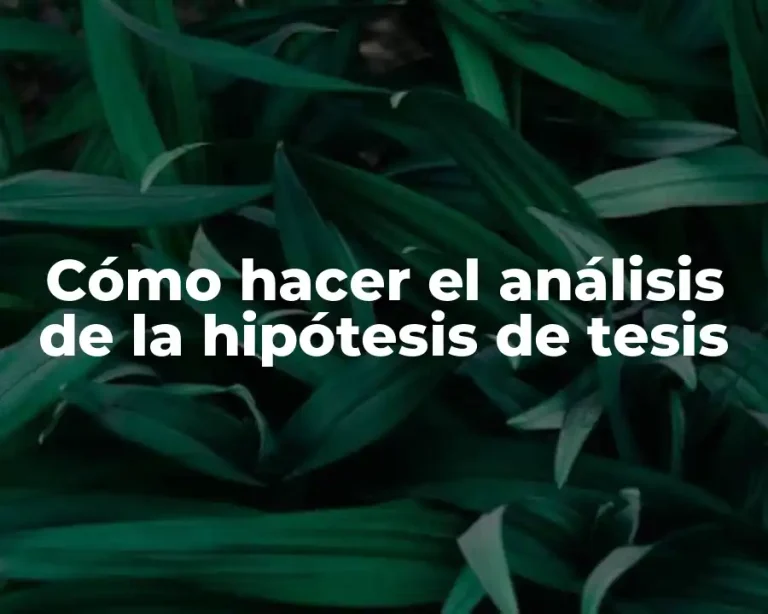 Cómo hacer el análisis de la hipótesis de tesis