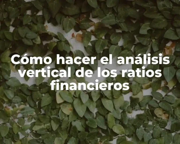 Cómo hacer el análisis vertical de los ratios financieros