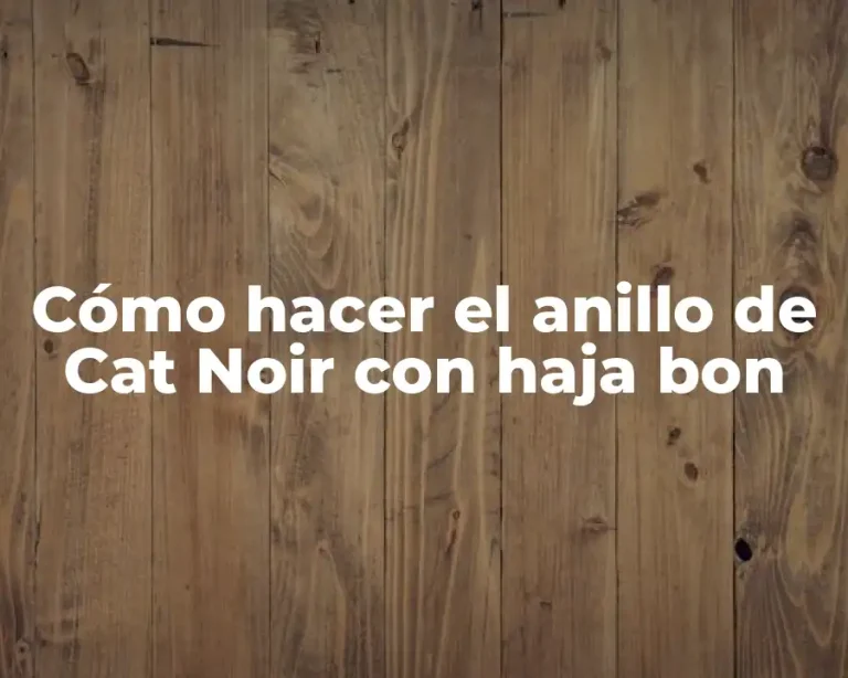 Cómo hacer el anillo de Cat Noir con haja bon