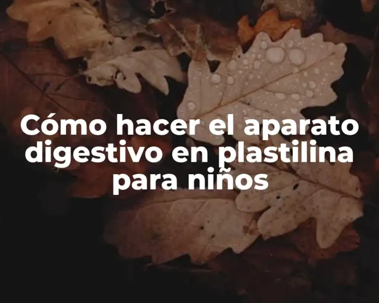 Cómo hacer el aparato digestivo en plastilina para niños