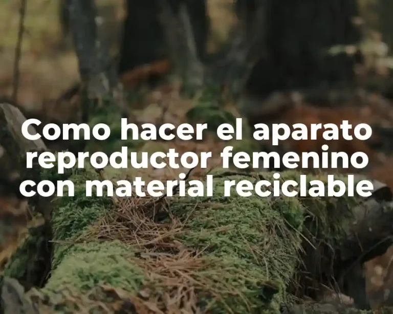 Como hacer el aparato reproductor femenino con material reciclable