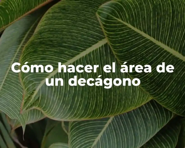 Cómo hacer el área de un decágono