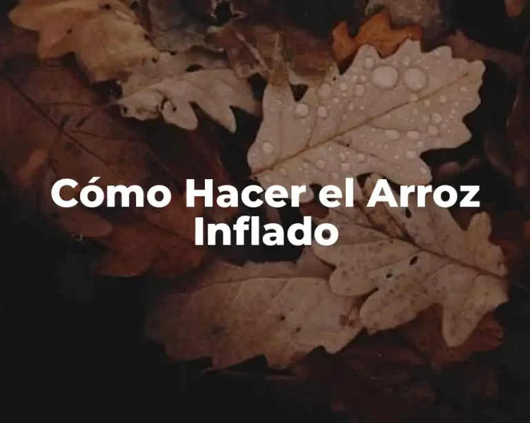 Cómo Hacer el Arroz Inflado