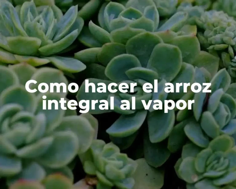 Como hacer el arroz integral al vapor