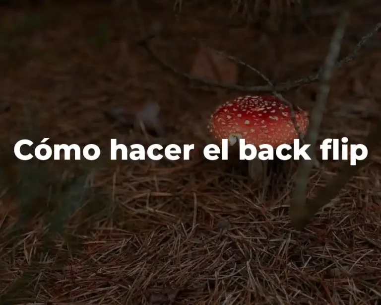 Cómo hacer el back flip