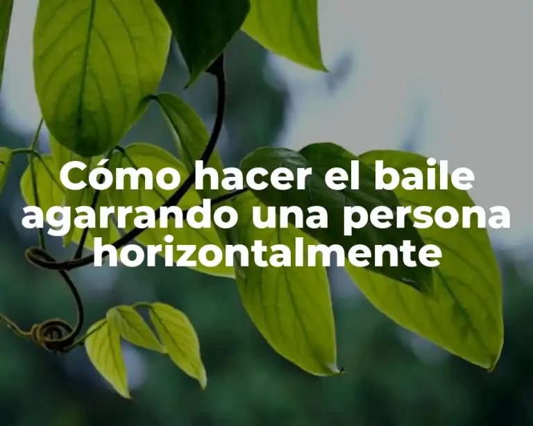 Cómo hacer el baile agarrando una persona horizontalmente