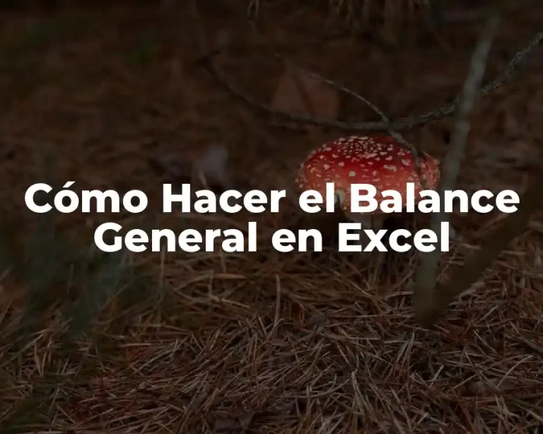 Cómo Hacer el Balance General en Excel