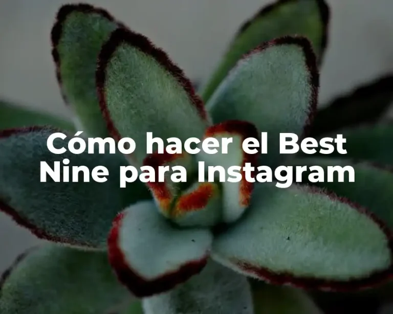 Cómo hacer el Best Nine para Instagram