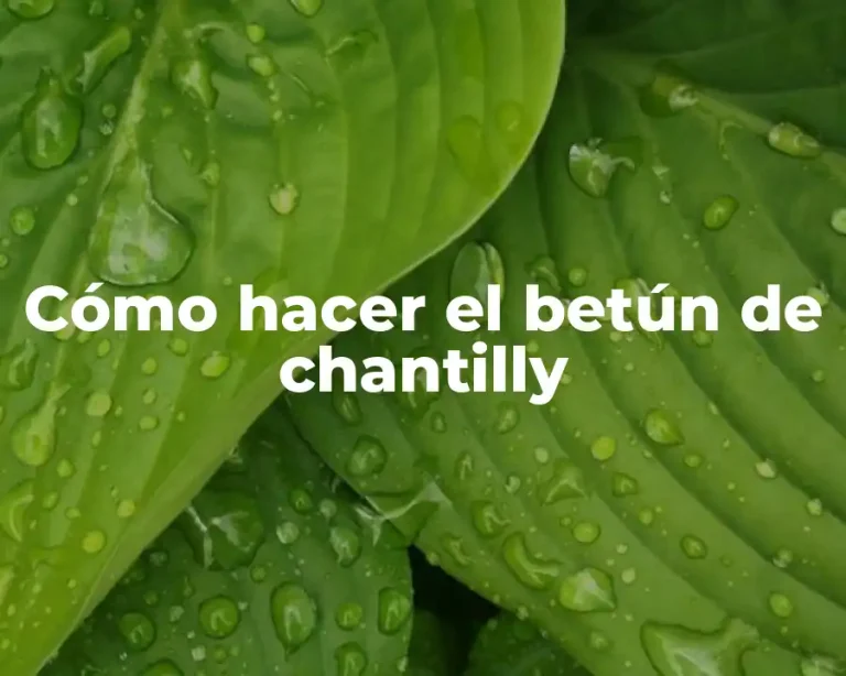 Cómo hacer el betún de chantilly