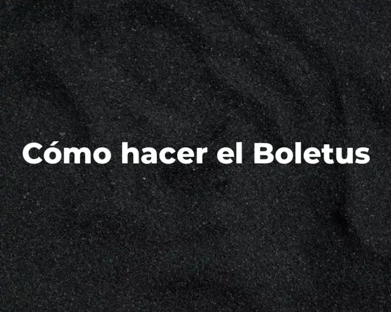 Cómo hacer el Boletus