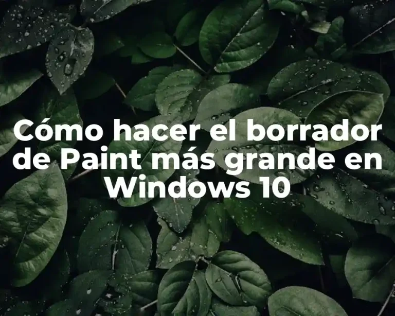 Cómo hacer el borrador de Paint más grande en Windows 10