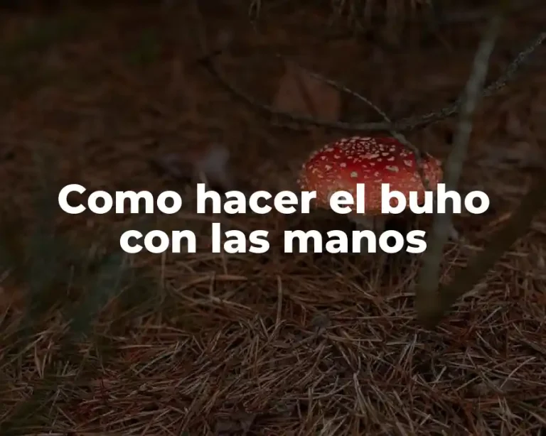 Como hacer el buho con las manos