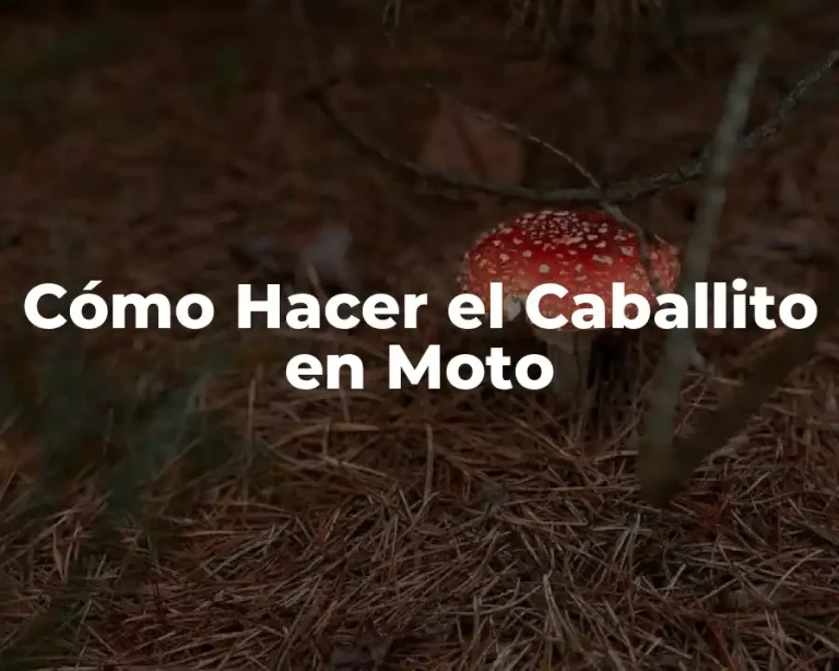 Cómo Hacer el Caballito en Moto