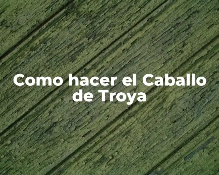 Como hacer el Caballo de Troya