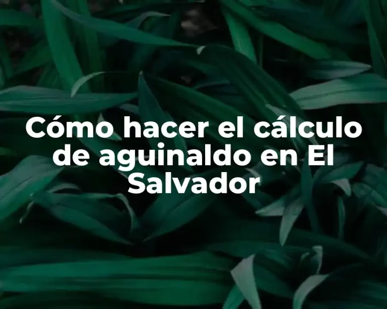 Cómo hacer el cálculo de aguinaldo en El Salvador