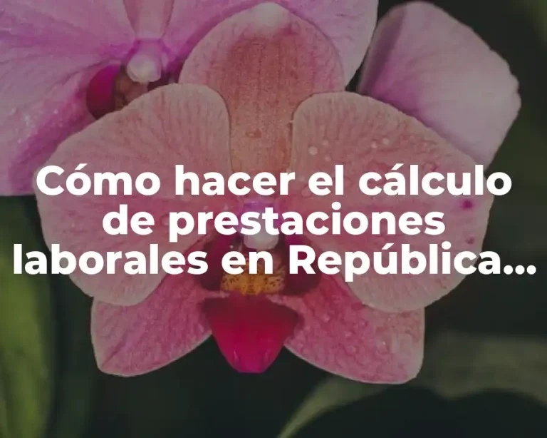 Cómo hacer el cálculo de prestaciones laborales en República Dominicana