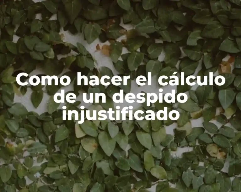 Como hacer el cálculo de un despido injustificado