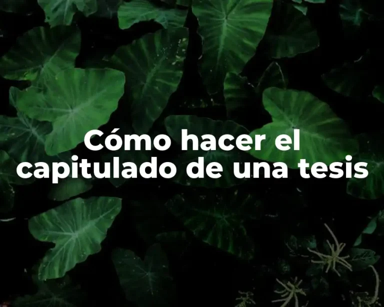 Cómo hacer el capitulado de una tesis