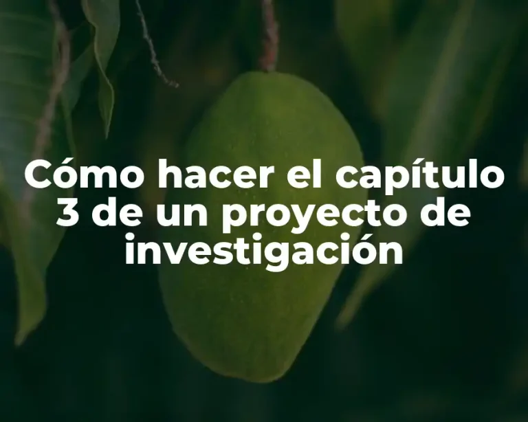Cómo hacer el capítulo 3 de un proyecto de investigación