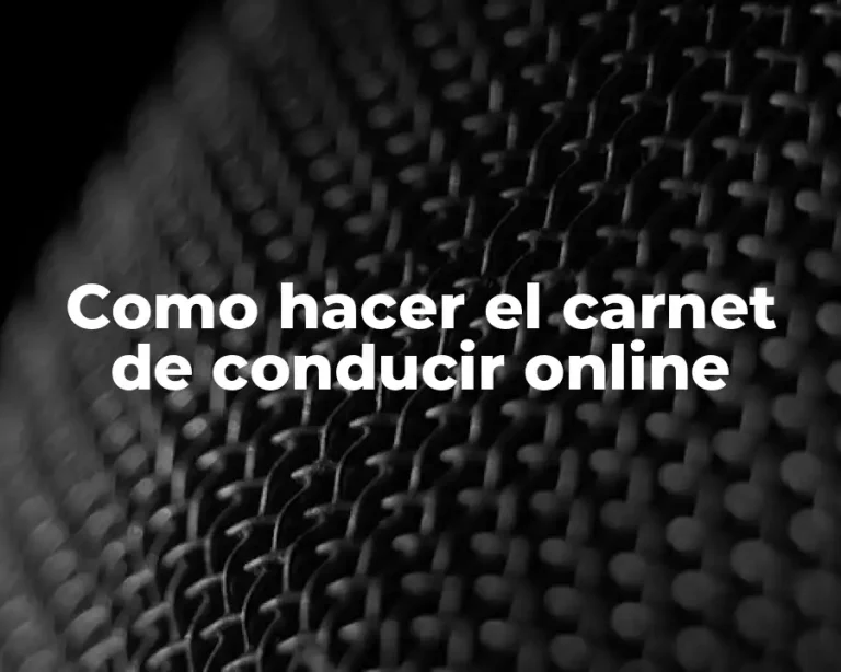 Como hacer el carnet de conducir online