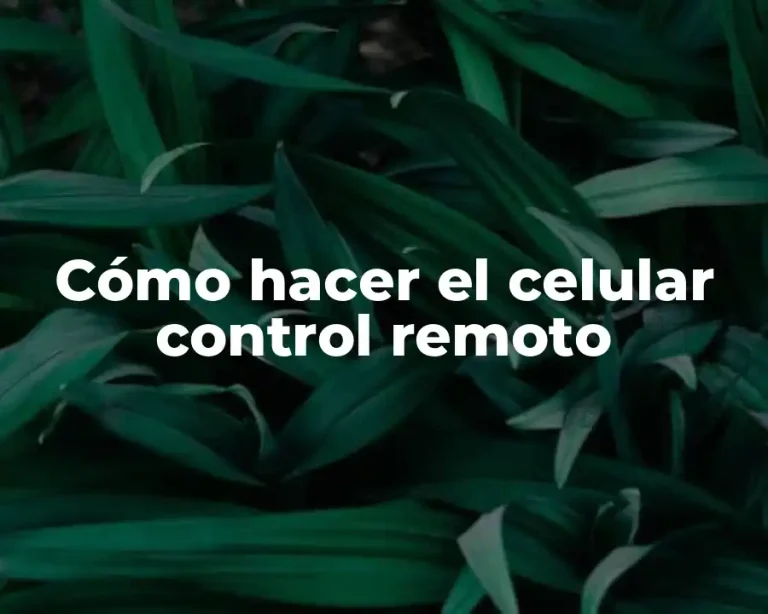Cómo hacer el celular control remoto
